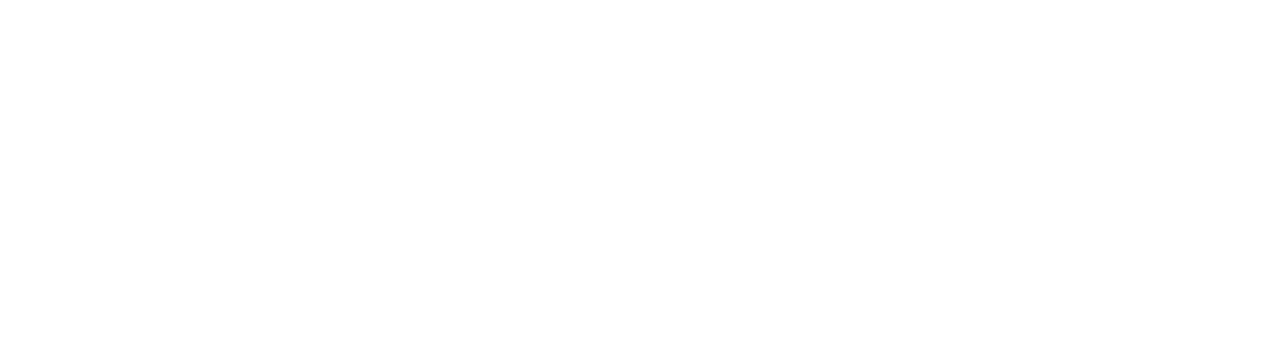 BRAINCHEESE